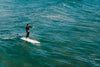 Classic Surf Why We Made This Board Banner