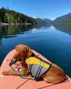 Dog On The Cruiser Paddle Board