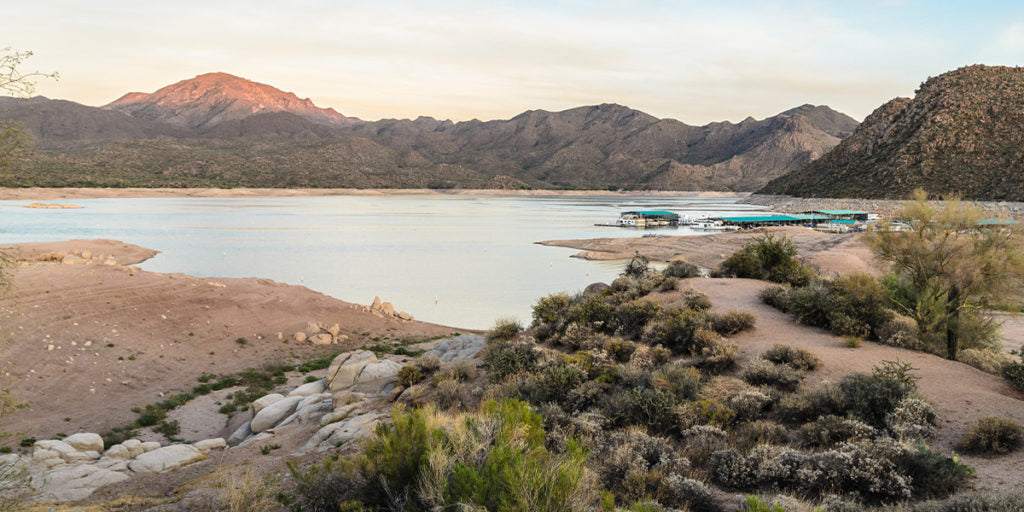 bartlett lake