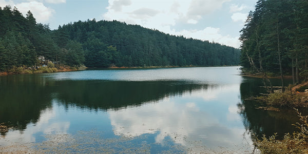 Cherry Creek Reservoir