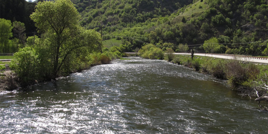 Provo river