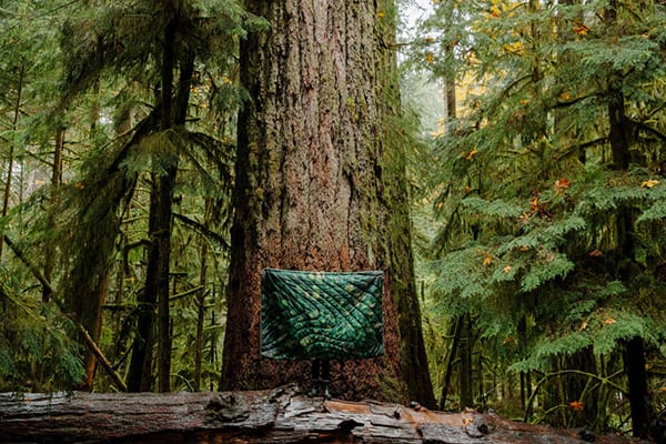 Rumpl old growth puffy blanket