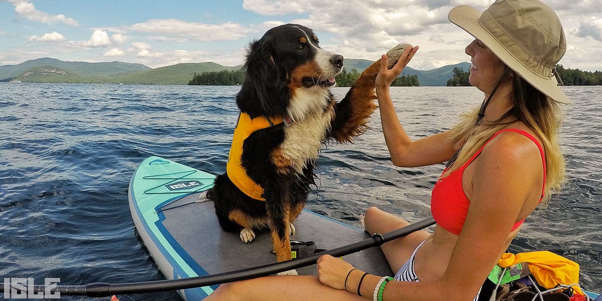 SUP safety with a dog