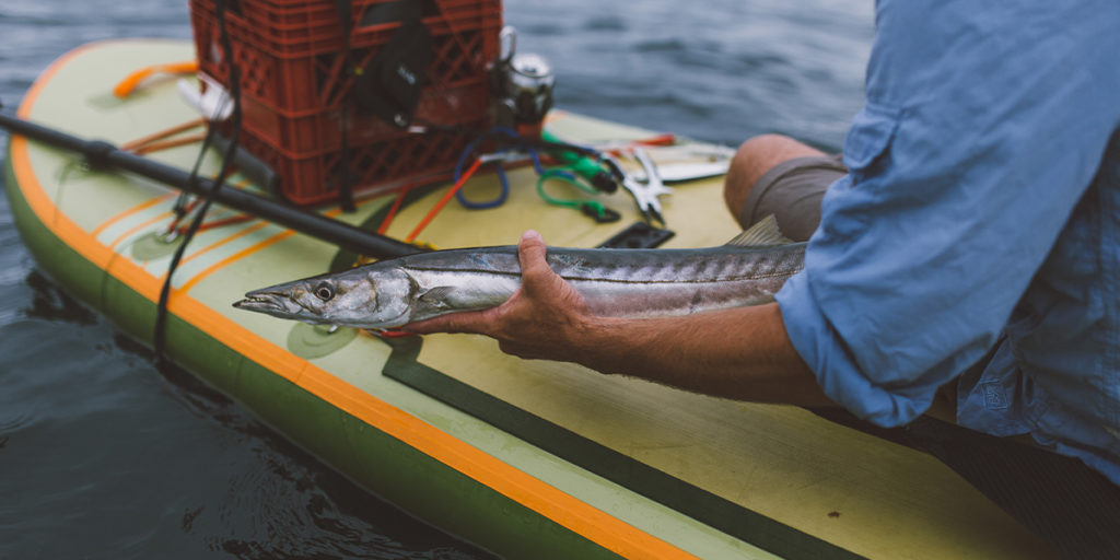 stand up paddle board fishing accessories fish